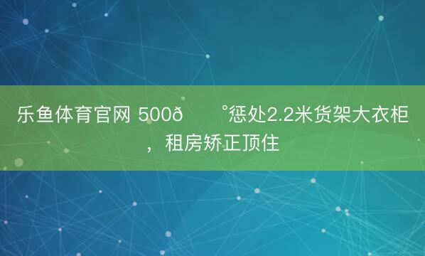乐鱼体育官网 500💰惩处2.2米货架大衣柜，租房矫正顶住