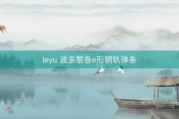 leyu 波多黎各e形钢轨弹条