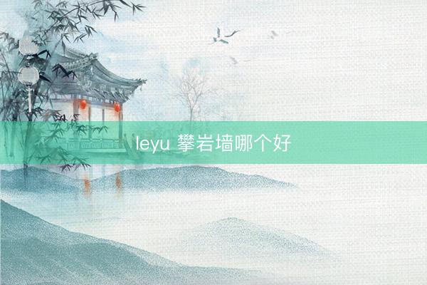 leyu 攀岩墙哪个好
