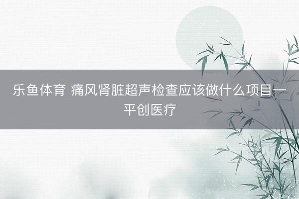 乐鱼体育 痛风肾脏超声检查应该做什么项目—平创医疗
