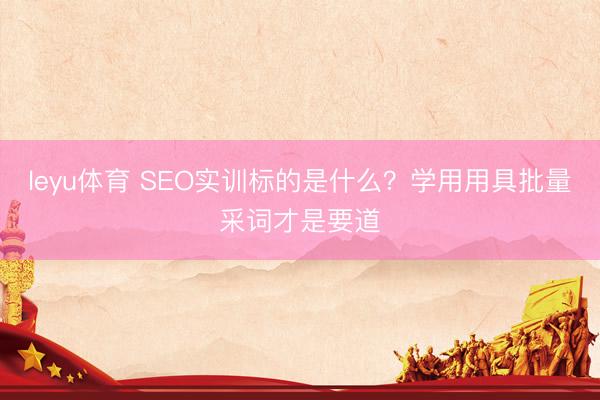 leyu体育 SEO实训标的是什么？学用用具批量采词才是要道