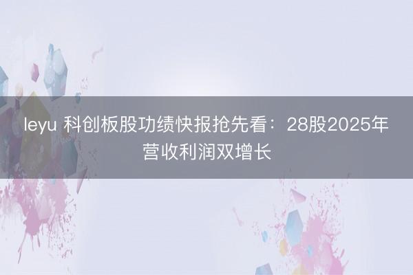 leyu 科创板股功绩快报抢先看:28股2025年营收利润双增长