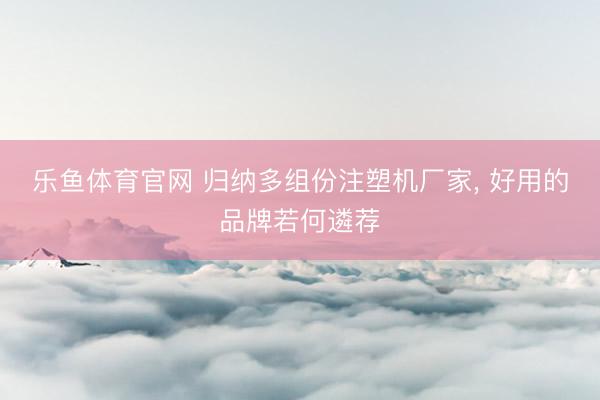 乐鱼体育官网 归纳多组份注塑机厂家, 好用的品牌若何遴荐
