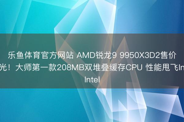 乐鱼体育官方网站 AMD锐龙9 9950X3D2售价曝光！大师第一款208MB双堆叠缓存CPU 性能甩飞Intel