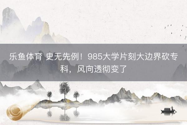 乐鱼体育 史无先例！985大学片刻大边界砍专科，风向透彻变了