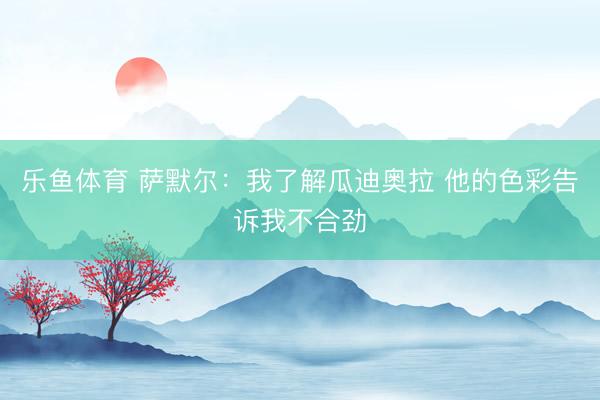 乐鱼体育 萨默尔：我了解瓜迪奥拉 他的色彩告诉我不合劲