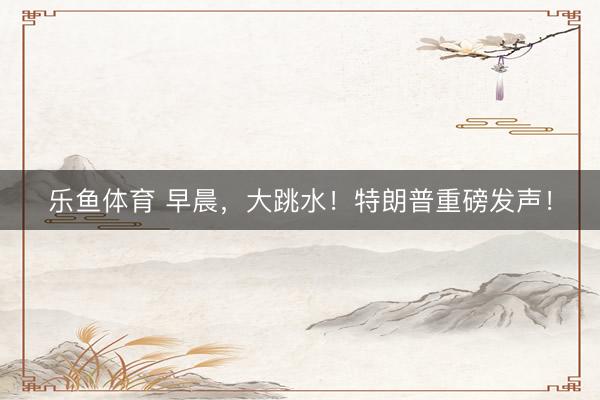 乐鱼体育 早晨，大跳水！特朗普重磅发声！