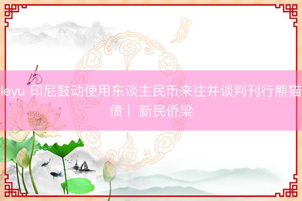 leyu 印尼鼓动使用东谈主民币来往并谈判刊行熊猫债 |  新民侨梁