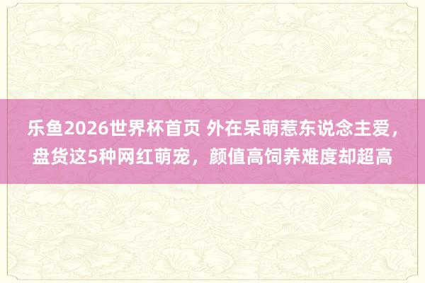 乐鱼2026世界杯首页 外在呆萌惹东说念主爱，盘货这5种网红萌宠，颜值高饲养难度却超高