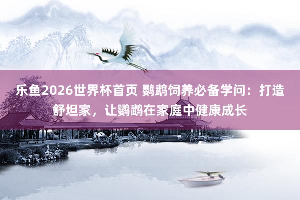 乐鱼2026世界杯首页 鹦鹉饲养必备学问：打造舒坦家，让鹦鹉在家庭中健康成长