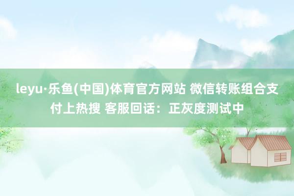 leyu·乐鱼(中国)体育官方网站 微信转账组合支付上热搜 客服回话：正灰度测试中