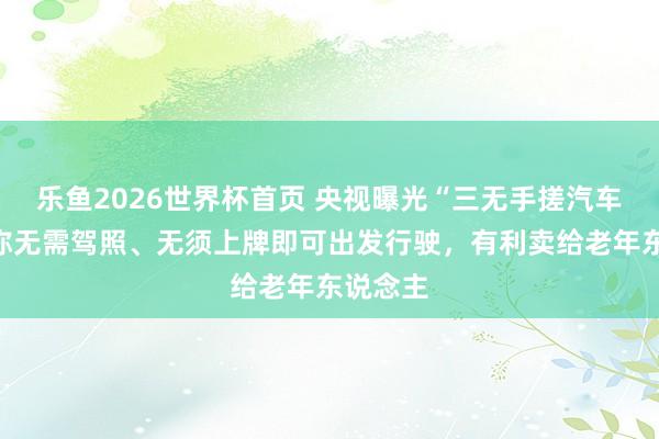 乐鱼2026世界杯首页 央视曝光“三无手搓汽车”：堪称无需驾照、无须上牌即可出发行驶，有利卖给老年东说念主