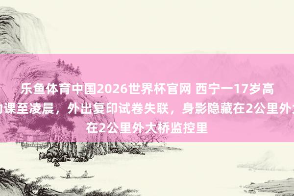 乐鱼体育中国2026世界杯官网 西宁一17岁高中女生写功课至凌晨，外出复印试卷失联，身影隐藏在2公里外大桥监控里