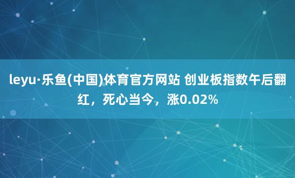 leyu·乐鱼(中国)体育官方网站 创业板指数午后翻红，死心当今，涨0.02%