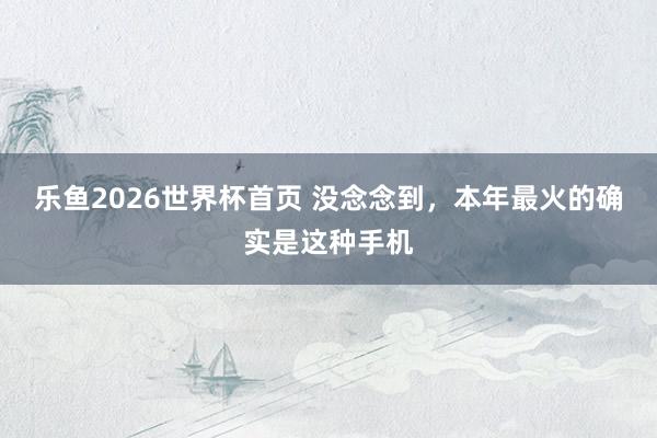 乐鱼2026世界杯首页 没念念到，本年最火的确实是这种手机