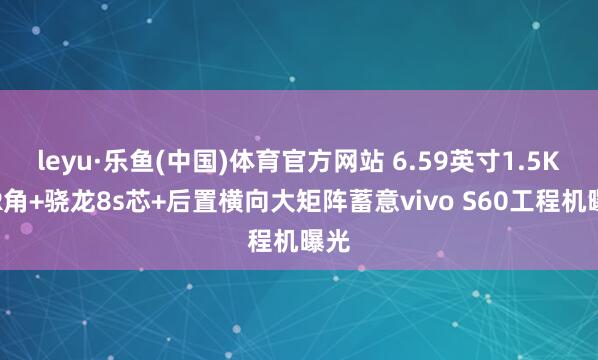 leyu·乐鱼(中国)体育官方网站 6.59英寸1.5K大R角+骁龙8s芯+后置横向大矩阵蓄意vivo S60工程机曝光