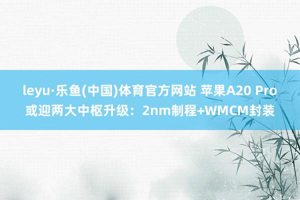 leyu·乐鱼(中国)体育官方网站 苹果A20 Pro或迎两大中枢升级：2nm制程+WMCM封装