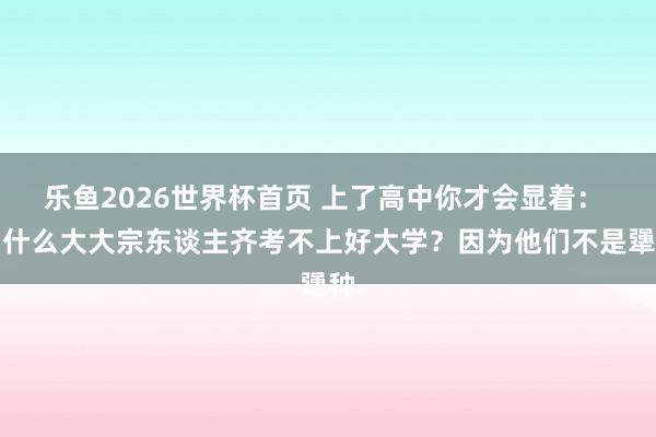 乐鱼2026世界杯首页 上了高中你才会显着: 为什么大大宗东谈主齐考不上好大学?因为他们不是犟种