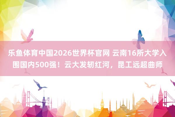 乐鱼体育中国2026世界杯官网 云南16所大学入围国内500强！云大发轫红河，昆工远超曲师