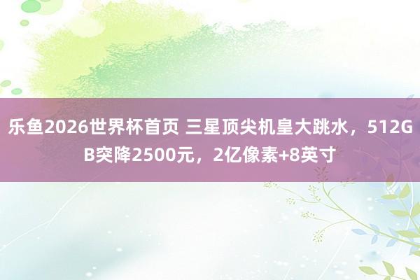乐鱼2026世界杯首页 三星顶尖机皇大跳水，512GB突降2500元，2亿像素+8英寸