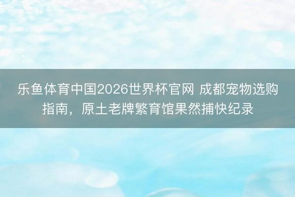 乐鱼体育中国2026世界杯官网 成都宠物选购指南，原土老牌繁育馆果然捕快纪录
