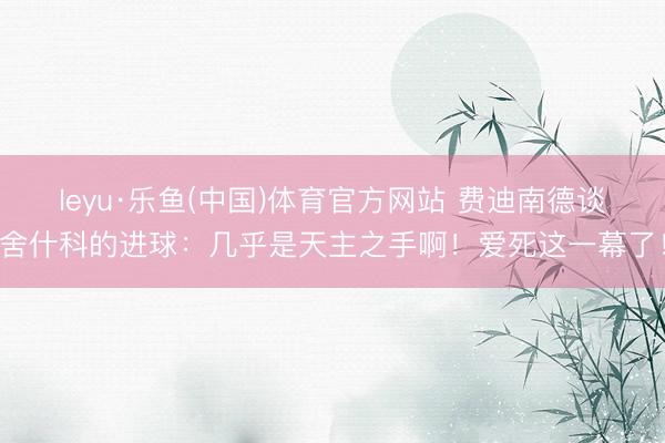 leyu·乐鱼(中国)体育官方网站 费迪南德谈舍什科的进球：几乎是天主之手啊！爱死这一幕了！
