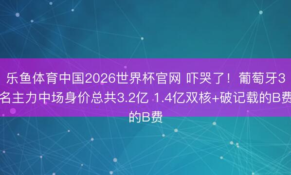 乐鱼体育中国2026世界杯官网 吓哭了！葡萄牙3名主力中场身价总共3.2亿 1.4亿双核+破记载的B费