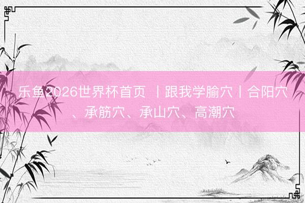 乐鱼2026世界杯首页 丨跟我学腧穴丨合阳穴、承筋穴、承山穴、高潮穴
