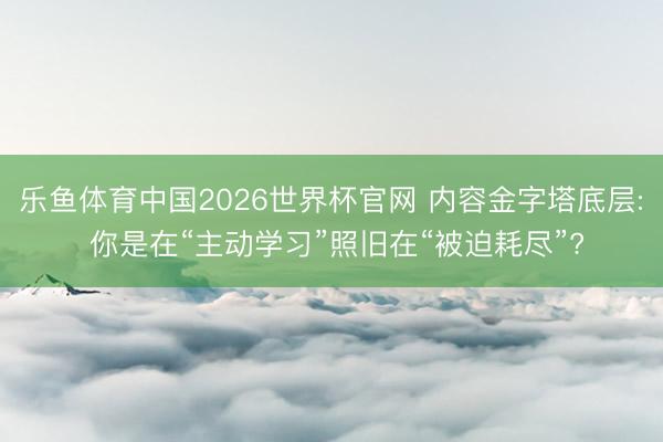 乐鱼体育中国2026世界杯官网 内容金字塔底层: 你是在“主动学习”照旧在“被迫耗尽”?