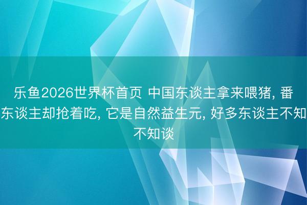 乐鱼2026世界杯首页 中国东谈主拿来喂猪， 番邦东谈主却抢着吃， 它是自然益生元， 好多东谈主不知谈